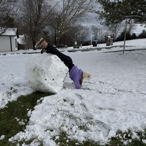 Meet your Posher, Lilli